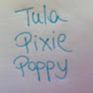 Meet your Posher, Pam